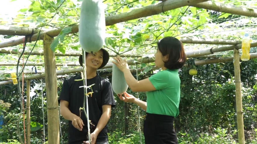 Bí thơm Văn Bàn: Thay đổi tư duy, làm giàu từ đất